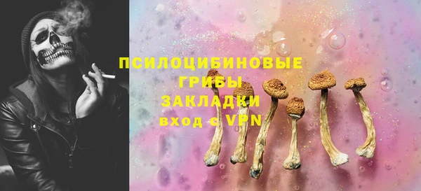 ГАЛЛЮЦИНОГЕННЫЕ ГРИБЫ Белокуриха