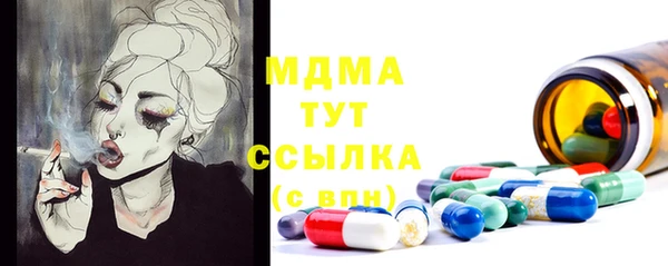 сатива Баксан