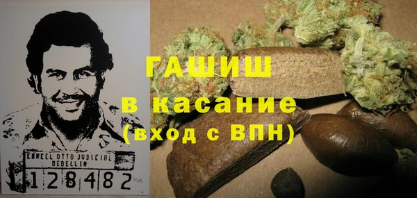 ГАЛЛЮЦИНОГЕННЫЕ ГРИБЫ Белокуриха