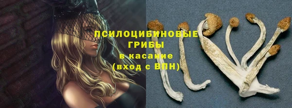 амф Беломорск